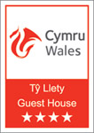 Highly Recommended Snowdonia B&B